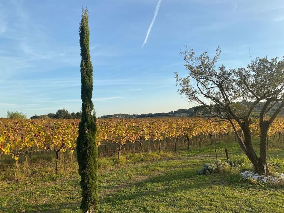 L'Atelier De La Bergerie - L' Ardeche - Via Rhona Villa Pont-Saint-Esprit Exterior foto